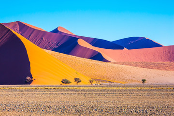 The sharp crests of orange dunes