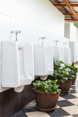 Urinals in public toilet