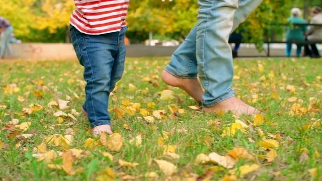 Close up of male and baby legs walking on the lawn with golden leaves in the park in slow motion