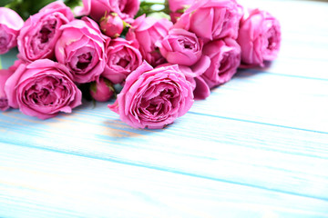 Beautiful pink roses on a blue wooden table