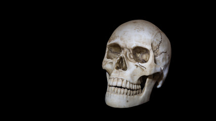 Skull, head bone with teeth on black background, negative symbol, dead