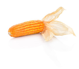Corncob with dry leaves on white background