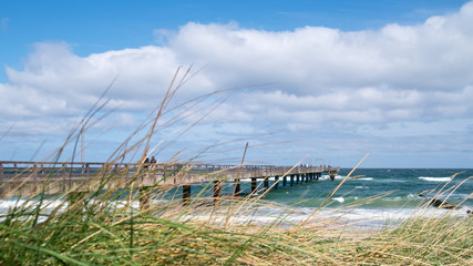Fototapeta premium Blick auf eine Seebrücke an der Ostsee