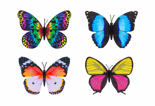 Fototapeta Different butterfly colorful isolated white background.