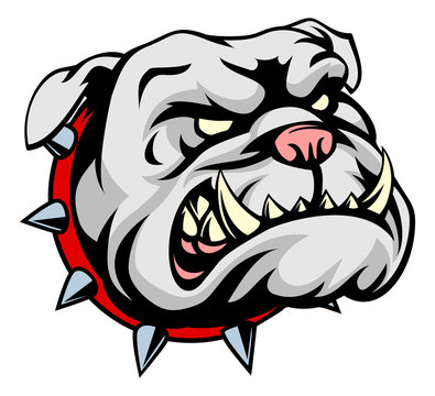 Bulldog Cartoon Mascot