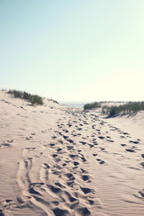 parapente sur les dunes de sable