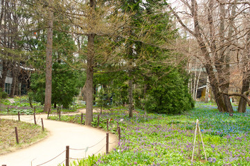 Path in the park