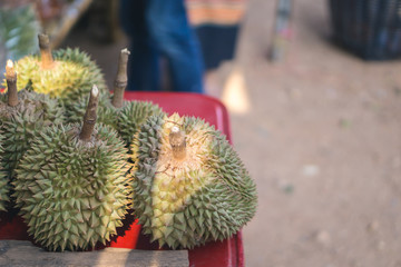 Durian on market