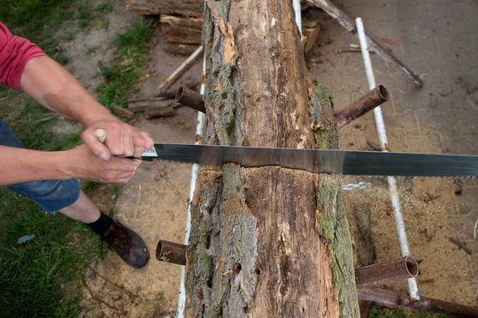 cutting trees for firewood, hand saw cutting 
