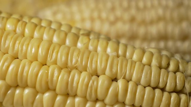 Corn fresh cooked vegetables 4H UHD 2160p footage pan - Fresh cooked corn panning UHD 3840X2160 video