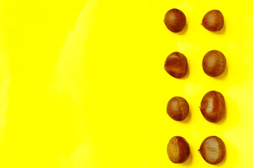 Chestnuts pattern on yellow background top view chestnut