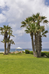 Fototapeta na wymiar Mediterranean Sea palm beach with pavilion