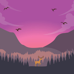 Fototapeta premium nature scene deer on sunset sunrise in forest majestic sky