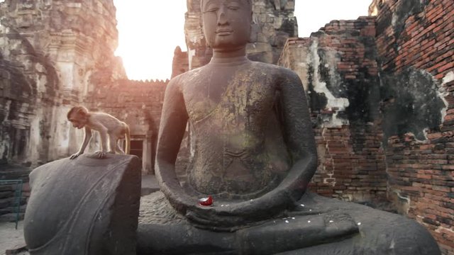 Lopburi city in Thailand, thousands of macaque monkeys live in freedom. In the temple Phra Prang Sam Yod, a young monkey is sitting on an ancient statue of Buddha