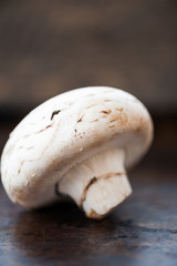 Champignon mushrooms