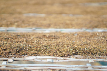 Drying tobacco leaves