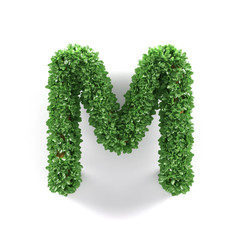 Green leaves M ecology letter alphabet font