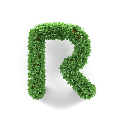 Green leaves R ecology letter alphabet font