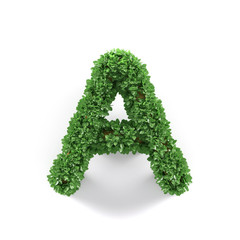 Green leaves A ecology letter alphabet font