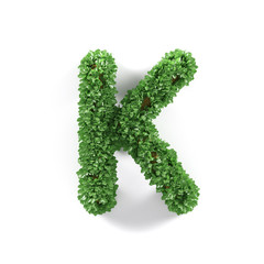 Green leaves K ecology letter alphabet font