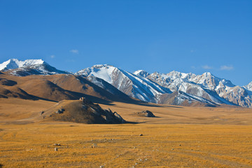Mountain and steppe pastures in the Tien Shan