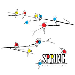 Birds on branch vector card, various birds silhouettes made with ink pen, singing and chirping birds are marked with different colors. Spring background.