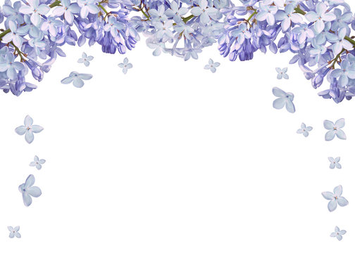 Fototapeta isolated half frame from light blue lilac blooms