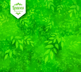 Green spring and summer background