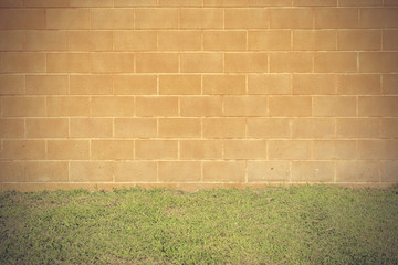 Orange brick wall background with green grass on floor