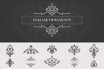 Fototapeta na wymiar Set of damask ornaments II
