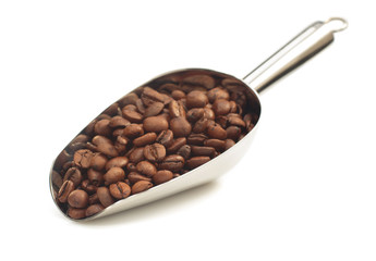 coffee beans isolated on white