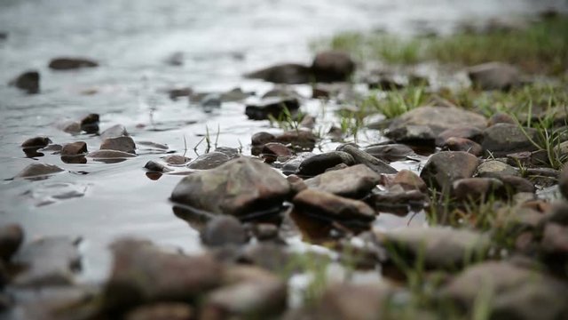 wide shot of stones and grass near the shore of the lake