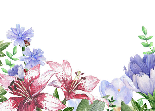 Watercolor floral image with lily, crocus and chicory flowers