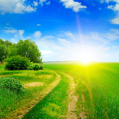 green field and sun on blue sky