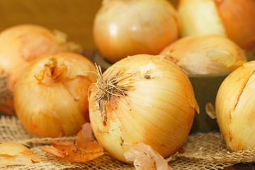 Heads of raw yellow onions