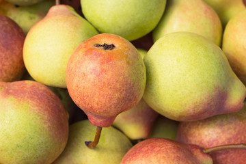 Ripe juicy pears close up