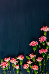 Carnation flowers on wooden background dark blue color.