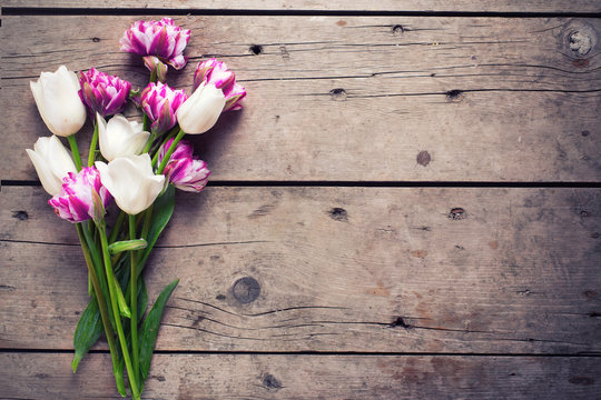 Bright  violet and white tulips flowers on aged wooden  backgrou