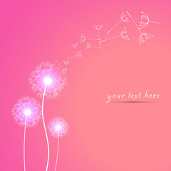 Cute and pretty dandelion flower background illustration.