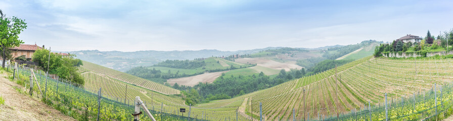 Fototapeta na wymiar Panorama of vineyard in Serralunga d’ alba , Italy
