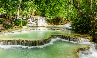 Fototapeta na wymiar turquoise pool at kuang si waterfall,Laos