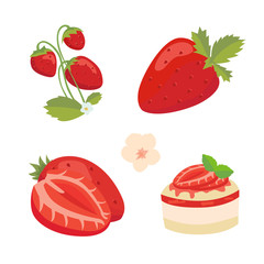 Strawberry isolated vector illustration set