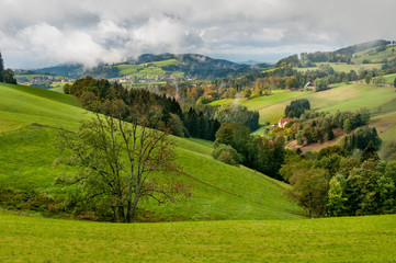 Fototapeta na wymiar Black Forest landscape near the village of St Peter.
