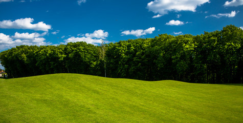 Golf place with gorgeous green and blue sky view. Beautiful nature and environment with fresh air. Golf concept.