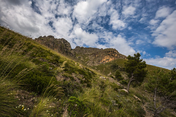 Fototapeta na wymiar Sicilian Spring Hills Landscape