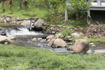 stream of creek in tropical forest