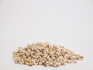 millet ,Placed on a white background.