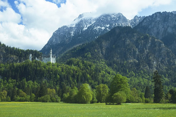 Bavarian Medieval Castle green field Alpine mountains