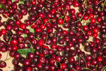 Beautiful red fresh cherry macro photo background