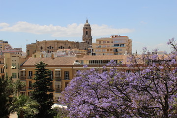 Catedral de Málaga desde la Alzacabza